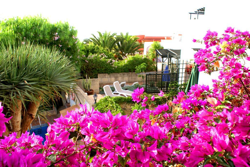 Casa San Miguel Apartman San Miguel de Abona Kültér fotó
